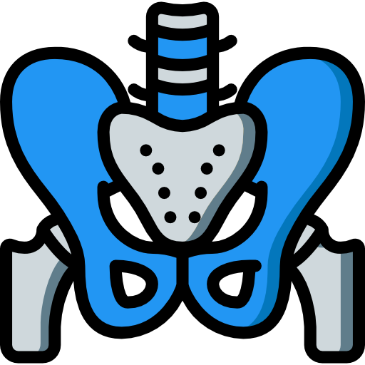 Pelvic Health Icon
